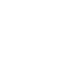 Animalia